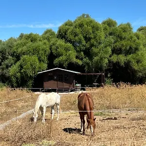 Rustica En Un Rancho Con Caballos, Prado Del Rey, Andalucia Camping Prado Del Rey